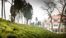 sourenee_hotel_resort_tourism_darjeeling_tea_pluckers_in_our_estate