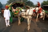 Taj-Mahal-Horse-Carriage