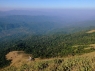 Coorg Tageswanderung6