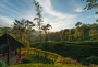 2835556-ceylon-tea-trails-hill-country-sri-lanka
