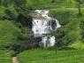 Waterfall_Nuwara Eliya