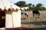 our-safari-camp