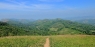 Coorg Tageswanderung4